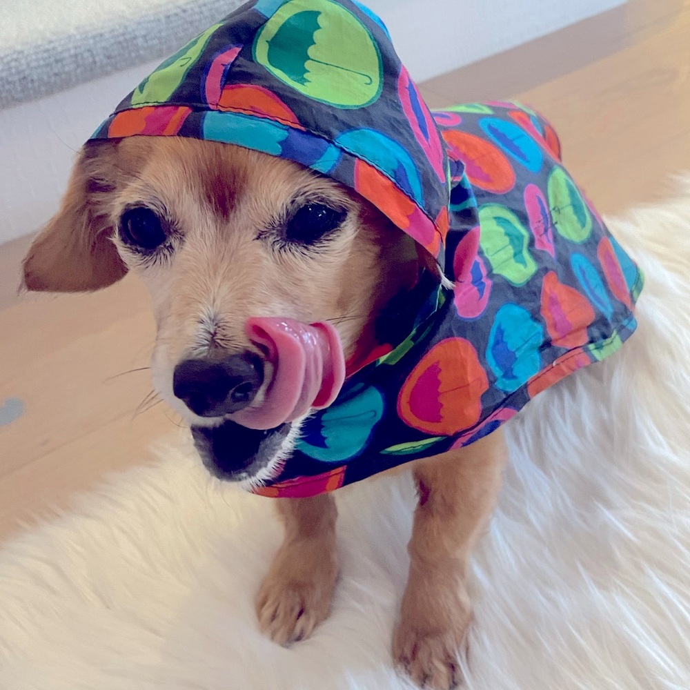 Waterproof Packable Rain Poncho for your dog. Lightweight and adjustable.